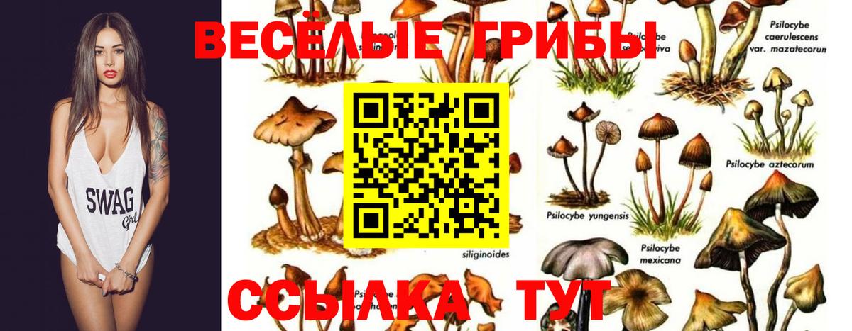 Псилоцибиновые грибы мицелий  Вход с VPN  Нижнеудинск 
