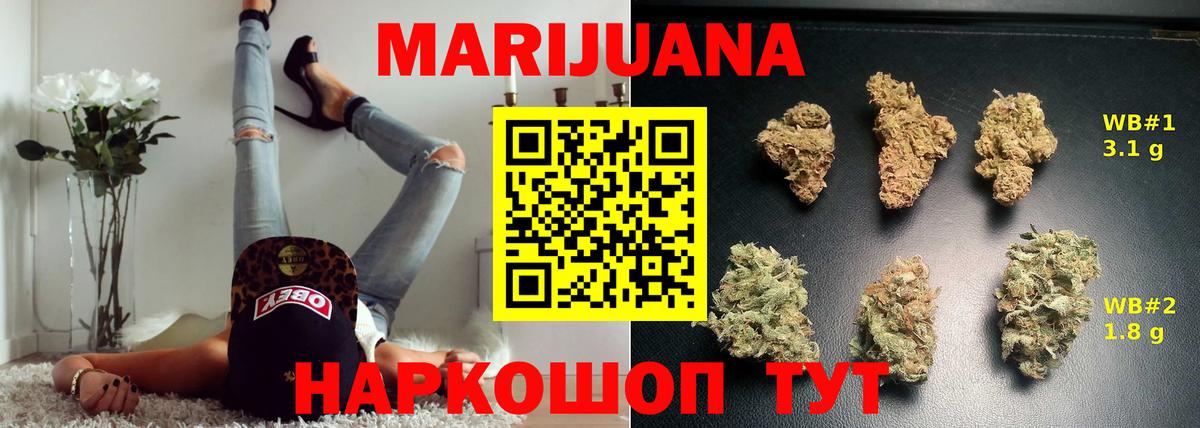 Бошки Шишки планчик  Конопля план  МАРИХУАНА VHQ  Нижнеудинск  Бошки Шишки AK-47  Вход с VPN 